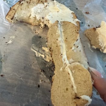 Capital Bagel - Bagels Near Me - Oakland Park, Florida