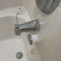 Photo of Plumber Duck