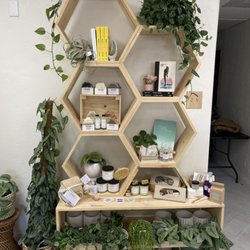 Plants By Yours Truly