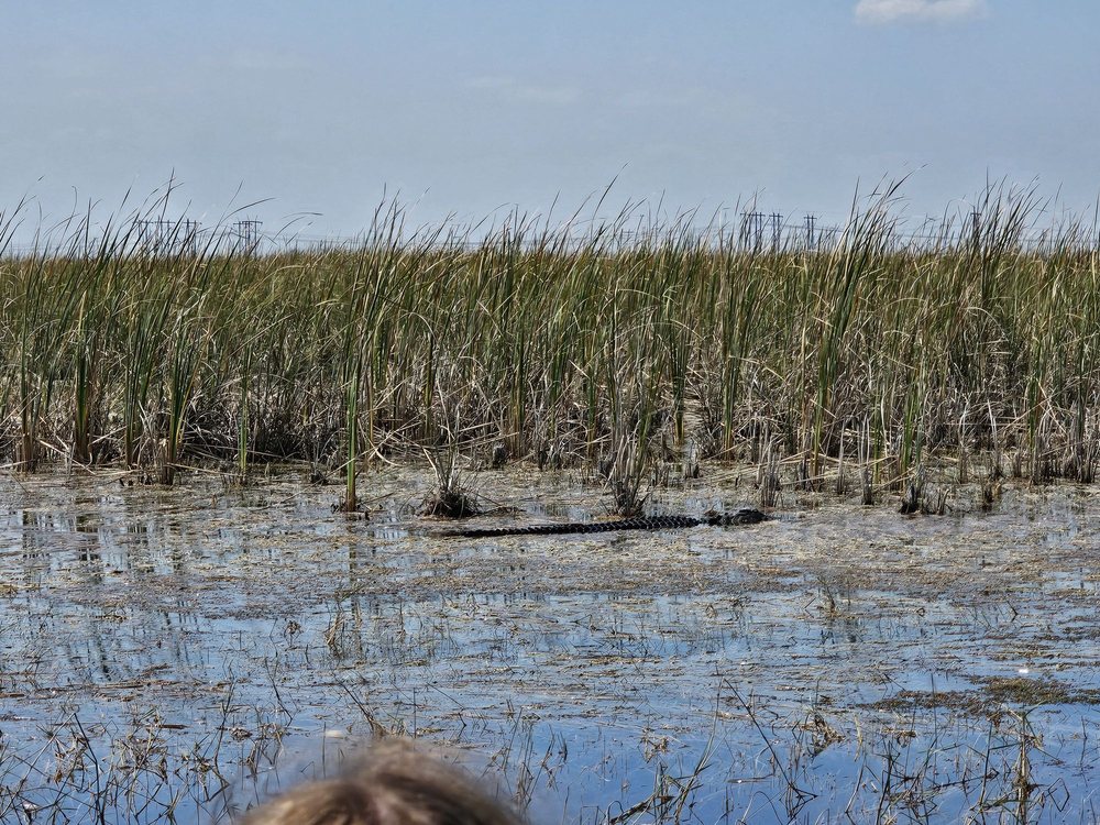 Sawgrass Recreation Park