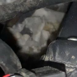 Premier Truck Group of Idaho Falls - Looked like a nest