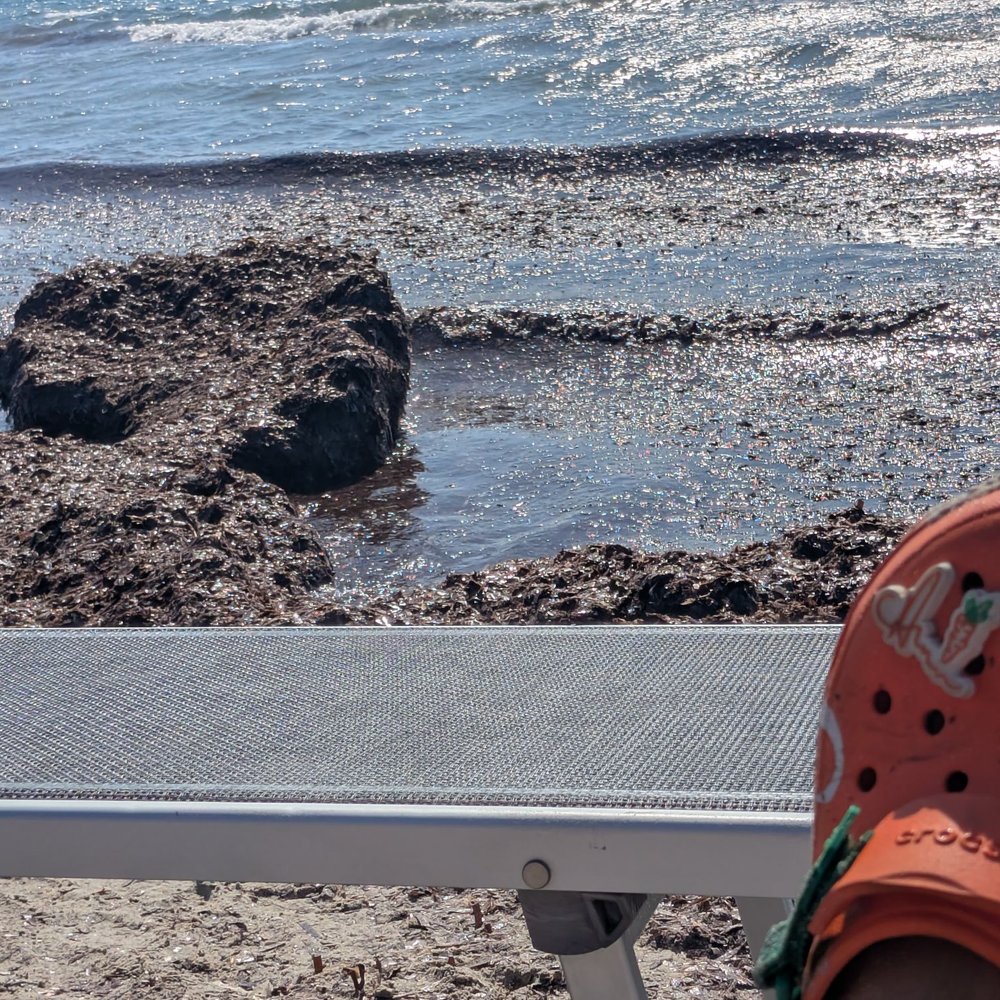 Cala Brandinchi - PAID FOR RESERVED SEATING, WASTED OF $$$ DONT DO IT - Beaches Near Me - Punta Molara, OT