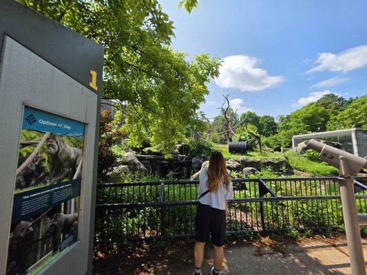 Lincoln Park Zoo by null