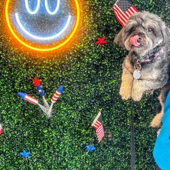 Shadow Creek Veterinary Clinic - Cute backdrop in the office - Veterinarians Near Me - Pearland, Texas Shadow Creek Veterinary Clinic - Cute backdrop in the office - Veterinarians Near Me - Pearland, Texas