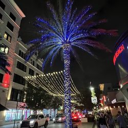 Clematis Street