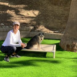 A Dog's Life With Lia