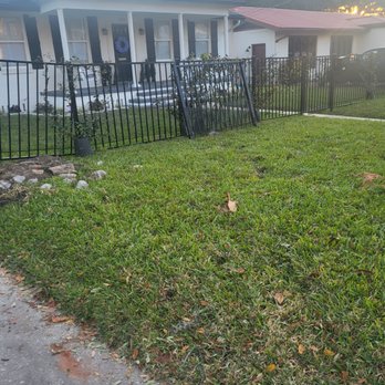 Jax Tree Removal - Tree Services Near Me - Jacksonville, Florida