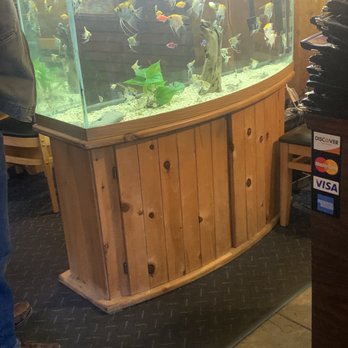 Fu Kung - right when u walk in u see cute fish they have multiple fishtanks around the restaurant - Chinese Near Me - Valdez, Alaska