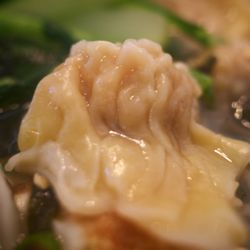 Fun Station - Wonton close-up