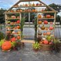 Claiborne Garden Center