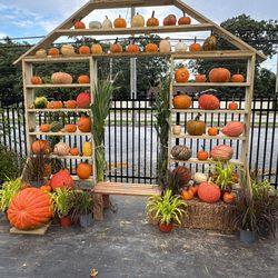 Claiborne Garden Center - Take a selfie or family photo at our pumpkin house.