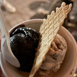 Jeni's Splendid Ice Creams - Opaque, Hazelnut Stracciatella