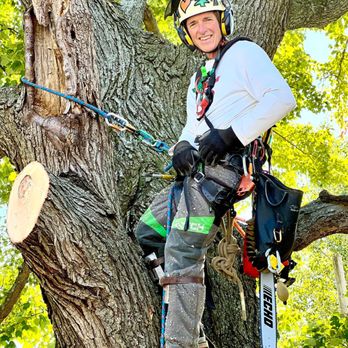 BT Lawn & Tree Service - Tree Services Near Me - Evansville, Indiana BT Lawn & Tree Service - Tree Services Near Me - Evansville, Indiana