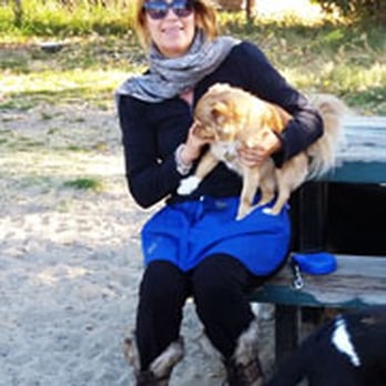 My Pet My Love - Dog Walkers Near Me My Pet My Love - Dog Walkers Near Me