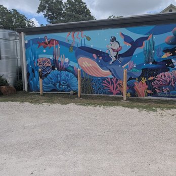 Bagel Babes - Food Trucks Near Me - San Antonio, Texas