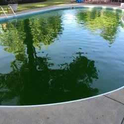 Blue Dolphin Pools & Spas - Let us clear up your pools algae problem