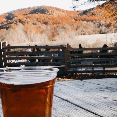 Bold Rock Nellysford Cidery by null