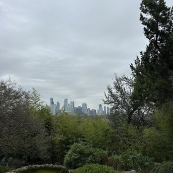 Zilker Botanical Gardens - View of the city - Botanical Gardens Near Me - Austin, Texas Zilker Botanical Gardens - View of the city - Botanical Gardens Near Me - Austin, Texas