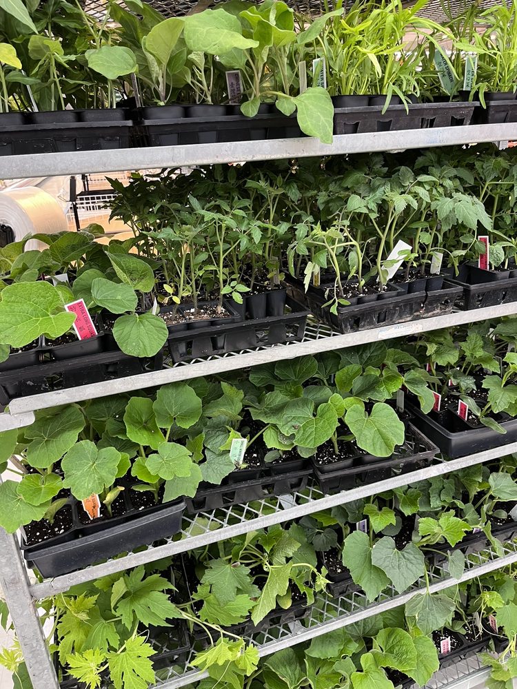 ASIAN FOOD MARKET 89 Photos & 78 Reviews 701 Rt 440 S, Jersey City