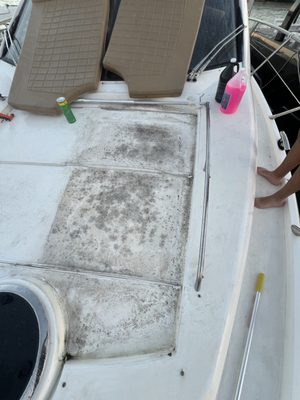 Mold Removal & Deep Cleaning in Progress! - At Bluewave MYM Marine Services, we’re tackling stubborn mold and giving this boat a thorough deep cleaning and detailing. Mold can damage your boat's interior and exterior, but with our professional cleaning services, we can restore it to its pristine condition.
Our team uses safe and effective methods to remove mold, followed by a detailed cleaning to leave your boat looking and smelling fresh. From deck to cabin, we ensure every corner is spotless.
Need mold removal or a deep clean for your boat? Contact us today to schedule your appointment and get your vessel looking its best!
Let us bring your boat back to life with a professional deep clean and mold removal. Mold Removal & Deep Cleaning in Progress! - At Bluewave MYM Marine Services, we’re tackling stubborn mold and giving this boat a thorough deep cleaning and detailing. Mold can damage your boat's interior and exterior, but with our professional cleaning services, we can restore it to its pristine condition.
Our team uses safe and effective methods to remove mold, followed by a detailed cleaning to leave your boat looking and smelling fresh. From deck to cabin, we ensure every corner is spotless.
Need mold removal or a deep clean for your boat? Contact us today to schedule your appointment and get your vessel looking its best!
Let us bring your boat back to life with a professional deep clean and mold removal.