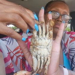 Trap Haus Kitchen - Tiny crab