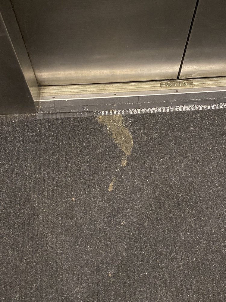 THE LUCKMAN 51 Photos & 45 Reviews 1801 E 12th St, Cleveland, Ohio