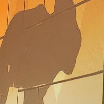 Olhso House - They change the projections, this one was a silver tiger - Korean Near Me - San Mateo, California