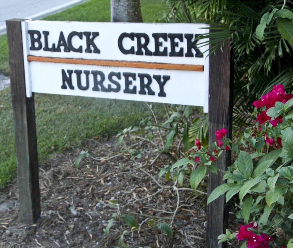 BLACK CREEK NURSERY Updated August 2024 13801 SW 232nd St