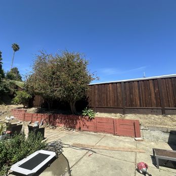 Reuben Borg Fence - Wide view of fence - Fences & Gates Near Me - San Ramon, California Reuben Borg Fence - Wide view of fence - Fences & Gates Near Me - San Ramon, California