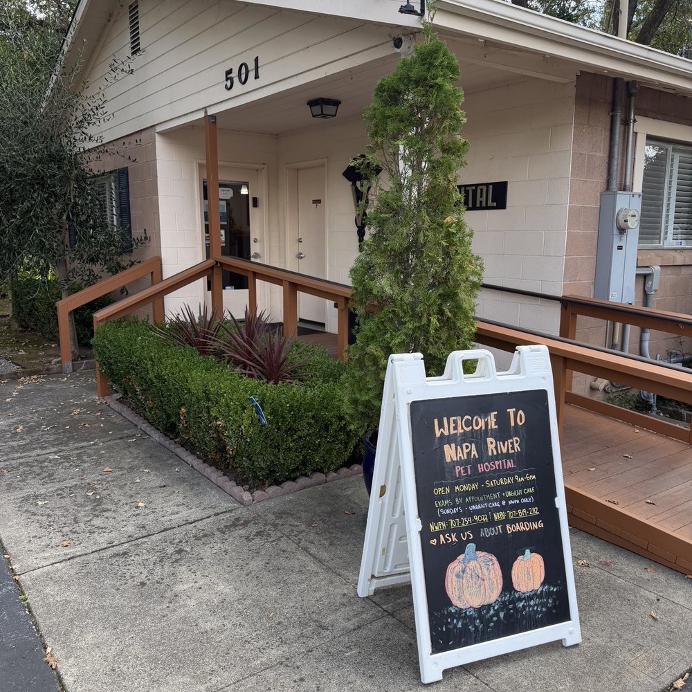 TOP 10 BEST Vet Hospital in Napa, CA - Updated 2026 - Yelp
