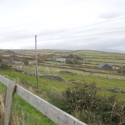 Dingle Sheepdogs Demonstrations & Trials