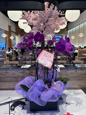 Osaka House Ramen & Sushi - San Bernardino by null