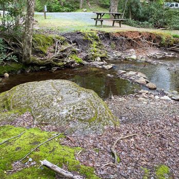 Honey Bear Campground - Campgrounds Near Me - Boone, North Carolina Honey Bear Campground - Campgrounds Near Me - Boone, North Carolina