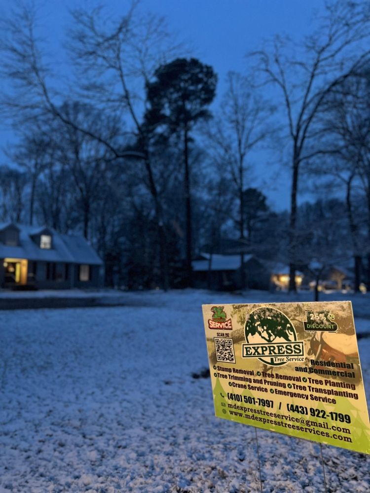 Express Tree Service - tree service in Brooklyn, MD