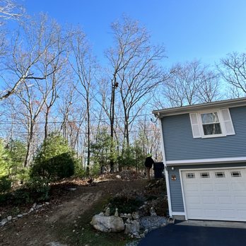 Joe's Tree Service - Tree Services Near Me Joe's Tree Service - Tree Services Near Me