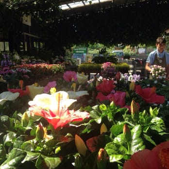 GiardiniGalbiati - Flowers garden - Home & Garden Near Me - Milan, Michigan