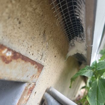 Keep Animals Out - Animal proofing siding to foundation gapping byusing metal and silicone custo - Wildlife Control Near Me Keep Animals Out - Animal proofing siding to foundation gapping byusing metal and silicone custo - Wildlife Control Near Me