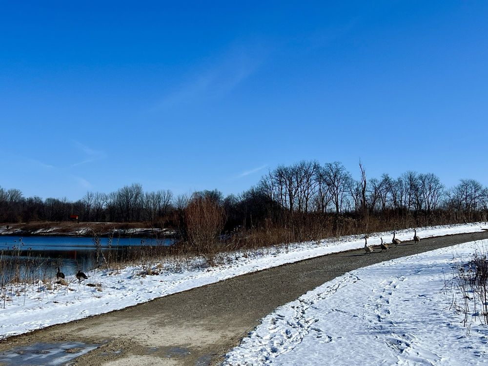 Prairie Oaks Metro Park