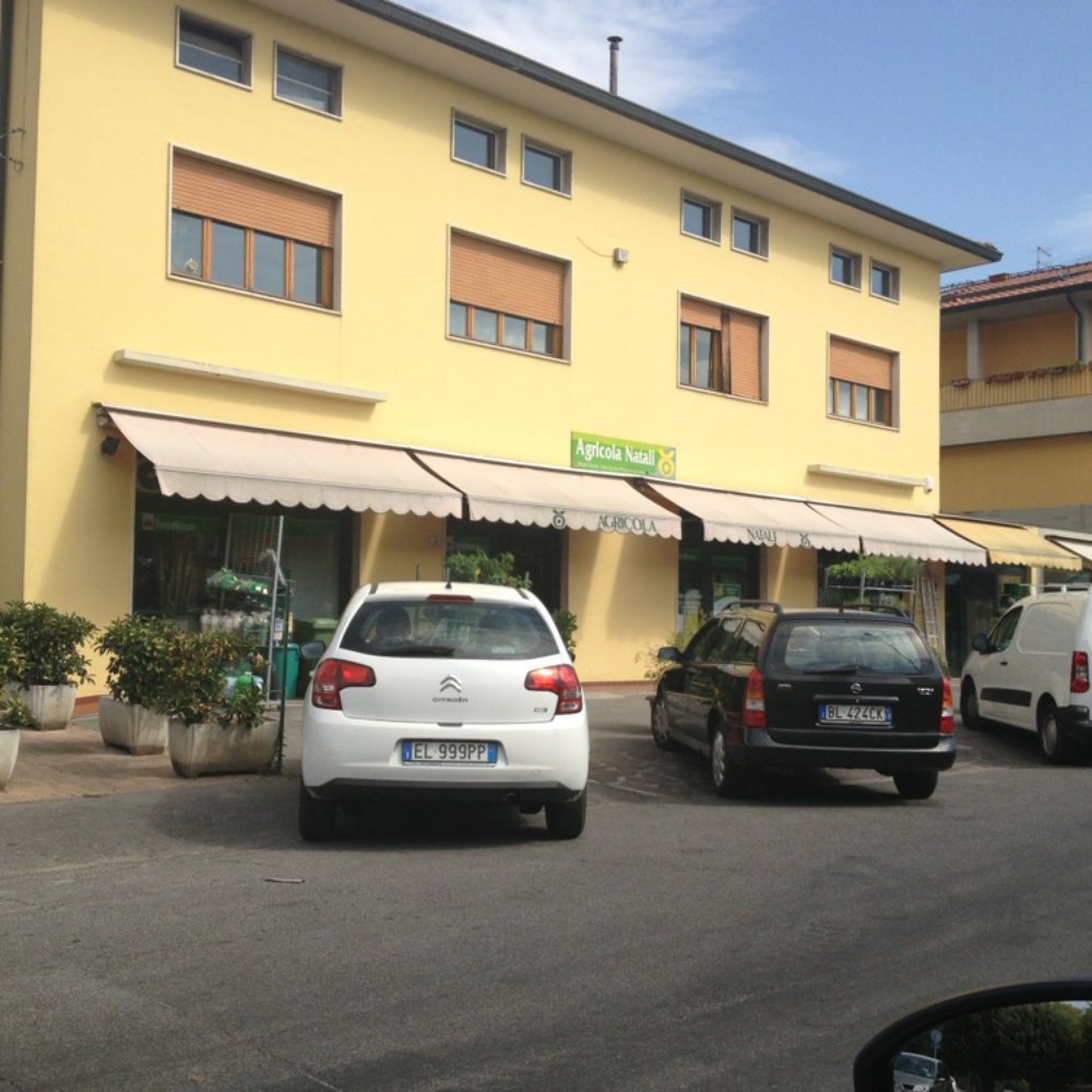 The Project Gutenberg eBook of Th Story of Siena and San Gimignano, by  Edmund G. Gardner., image size:1000x1000