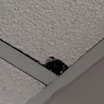 JDBS Wellness - What the heck is this?? Great spot for a hidden camera don't you think? - Massage Therapy Near Me - Marietta, Georgia