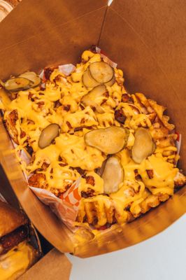 Clutch City Cluckers by null