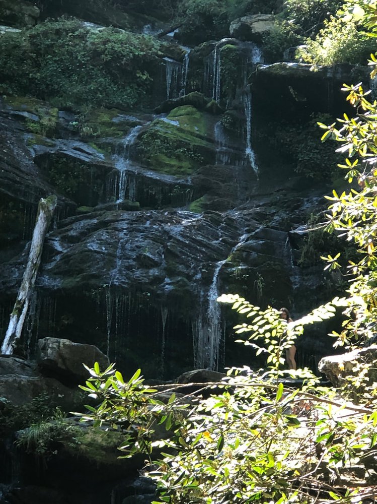 Amica Mental Health - grief counselor in Asheville, NC