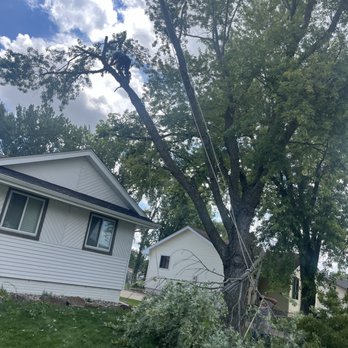CleanScape Solutions - Tree Services Near Me CleanScape Solutions - Tree Services Near Me
