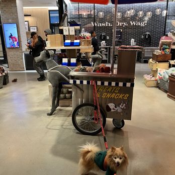 JustFoodForDogs - Pet Stores Near Me - New York, New York