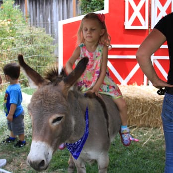 Little Reds Barnyard Friends - Petting Zoos Near Me