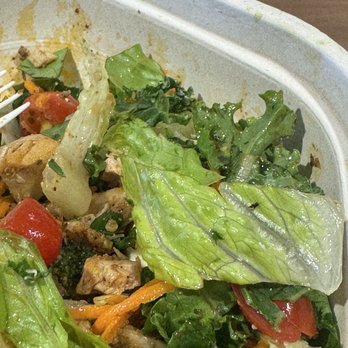 sweetgreen - Healthy Salads, Wraps, and Bowls - A gnat or mosquito dead on the lettuce - Salad Near Me - Irvine, California sweetgreen - Healthy Salads, Wraps, and Bowls - A gnat or mosquito dead on the lettuce - Salad Near Me - Irvine, California