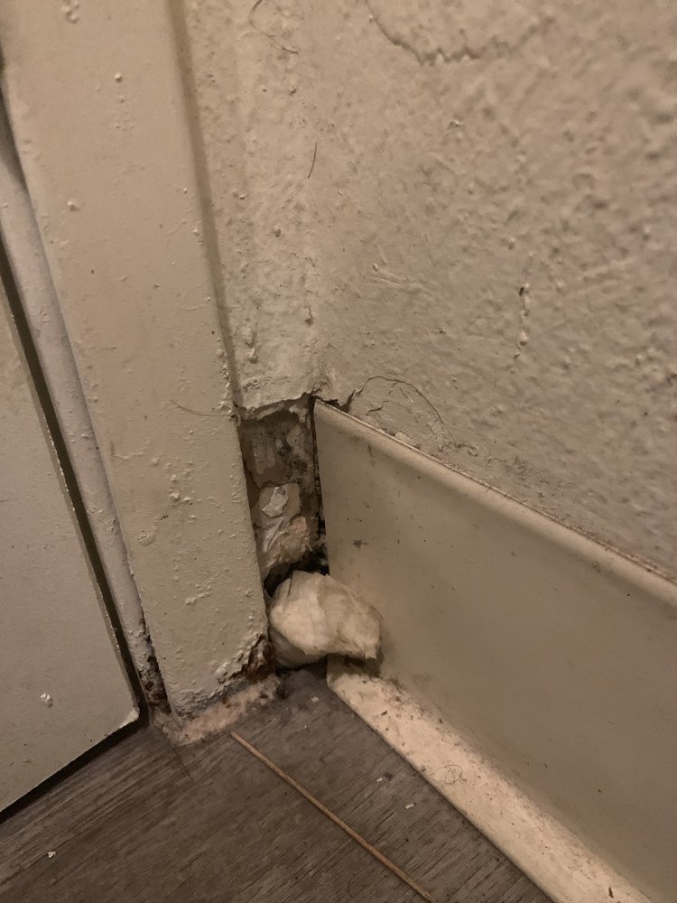 Reviews of AMERICANA APARTMENTS Updated September 2024 20 Reviews