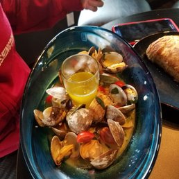 Steamer Clams