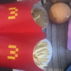 McDonald's - Not even full ! Happens every time  I get Large for a reason because medium size is always almost empty. Stingy place with fries!