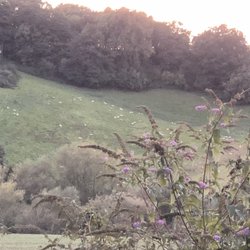 Inn On Wye